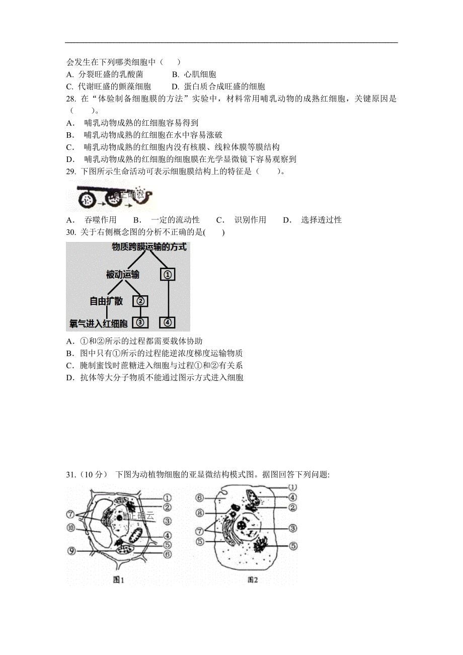 吉林省长春市九台区师范高级中学2018-2019学年高一上学期期中考试生物试卷 word版含答案_第5页