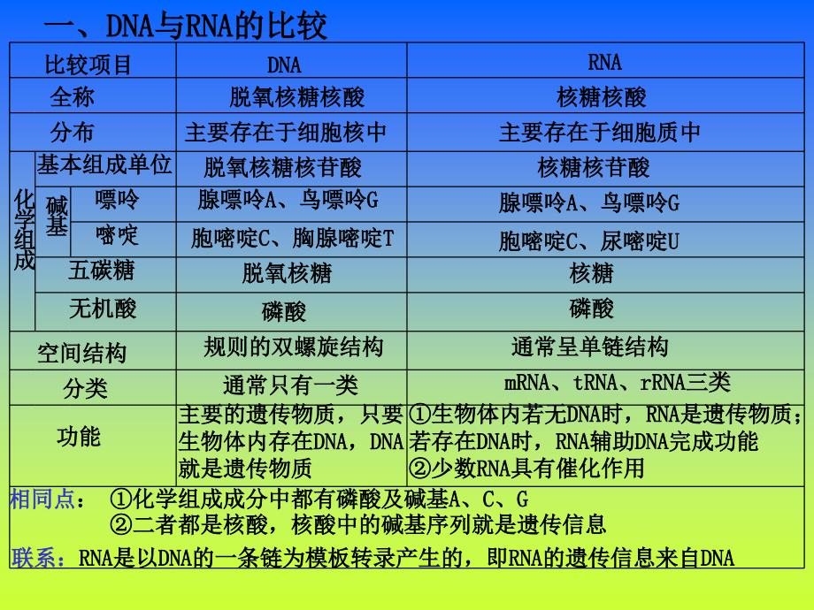 基因的表达_第3页