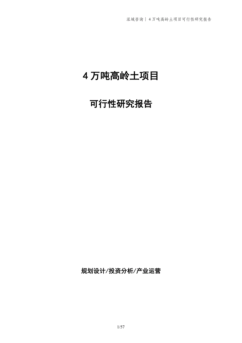 4万吨高岭土项目可行性研究报告_第1页