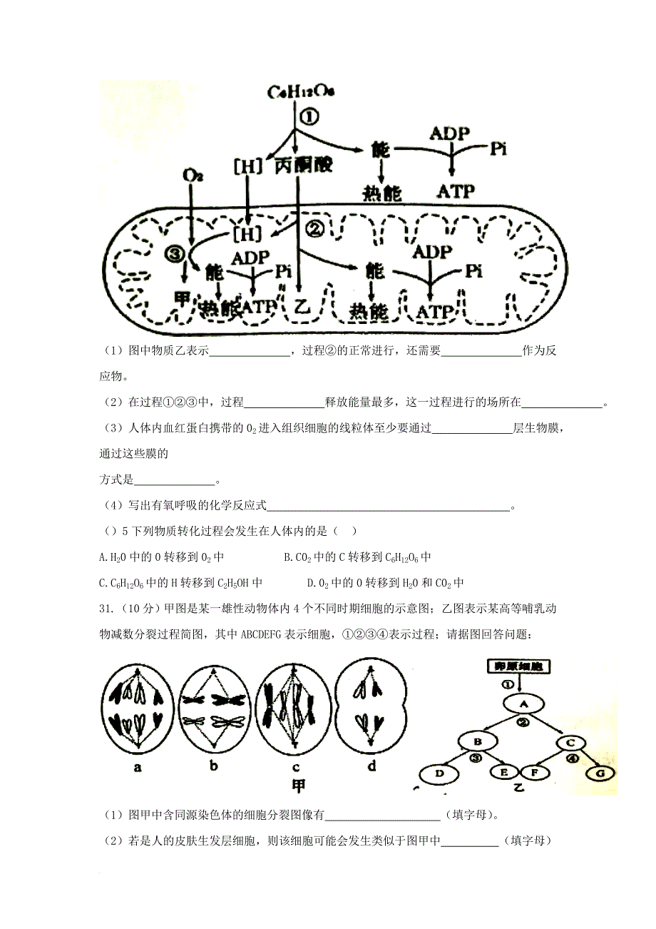 广西河池市2018届高三生物上学期第三次月考试题_第3页