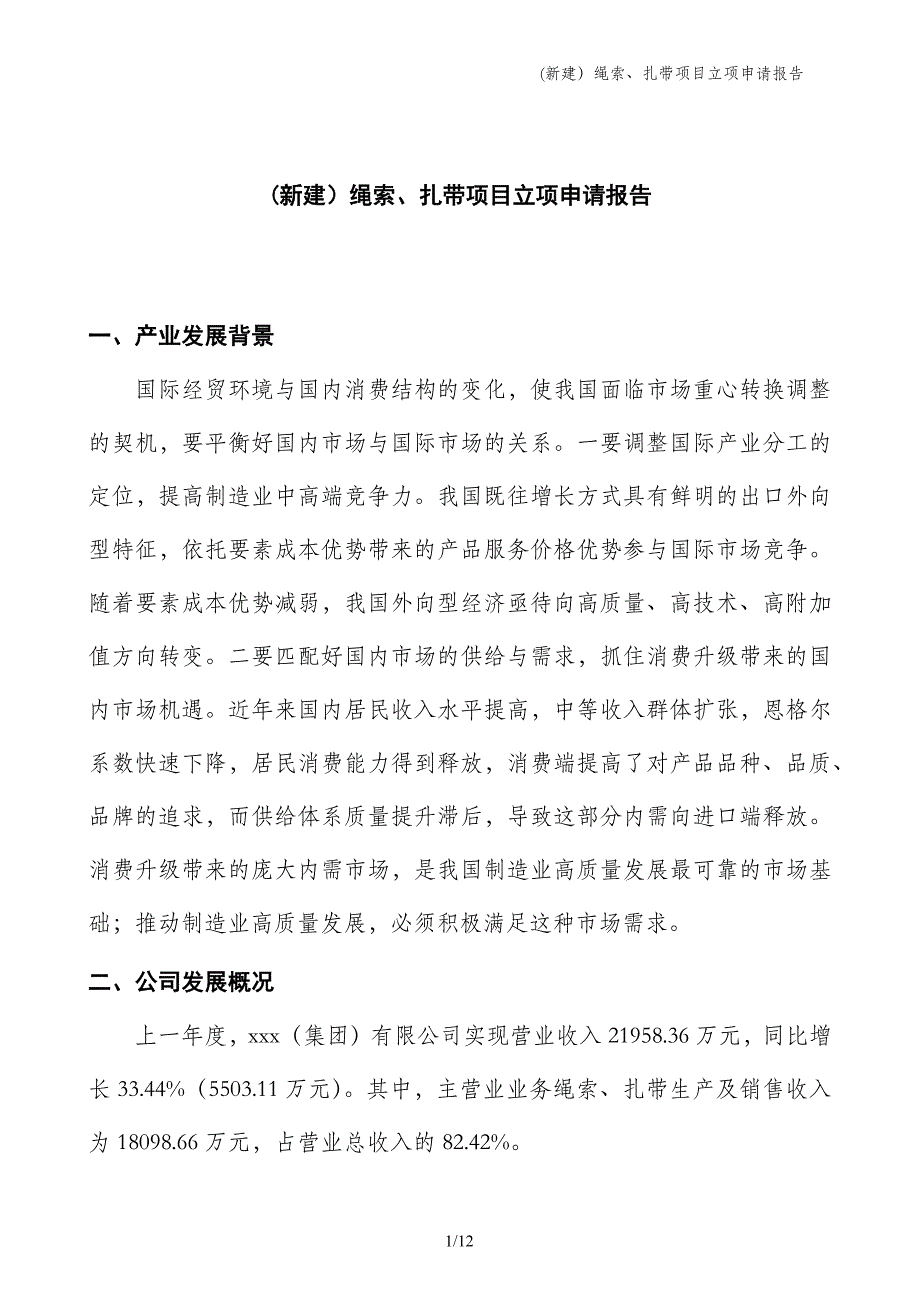 (新建）绳索、扎带项目立项申请报告_第1页