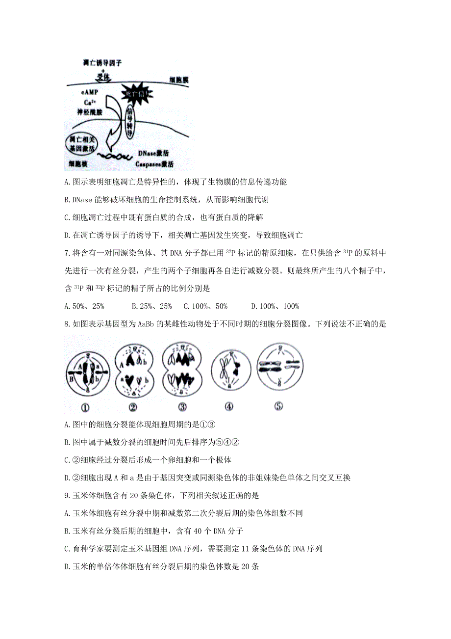 河南省南阳市2018届高三生物第四次考试试题_第3页