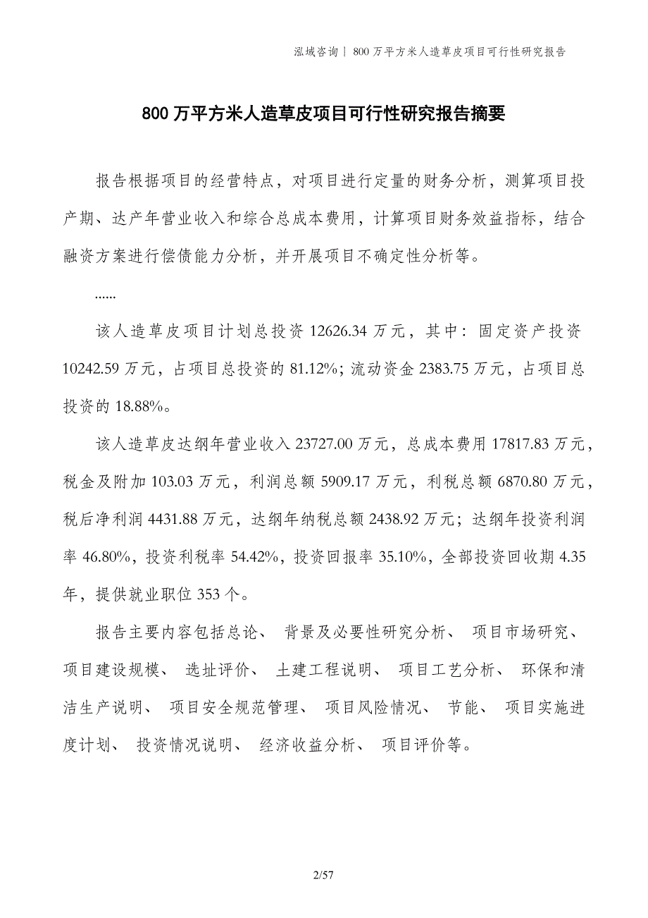 800万平方米人造草皮项目可行性研究报告_第2页