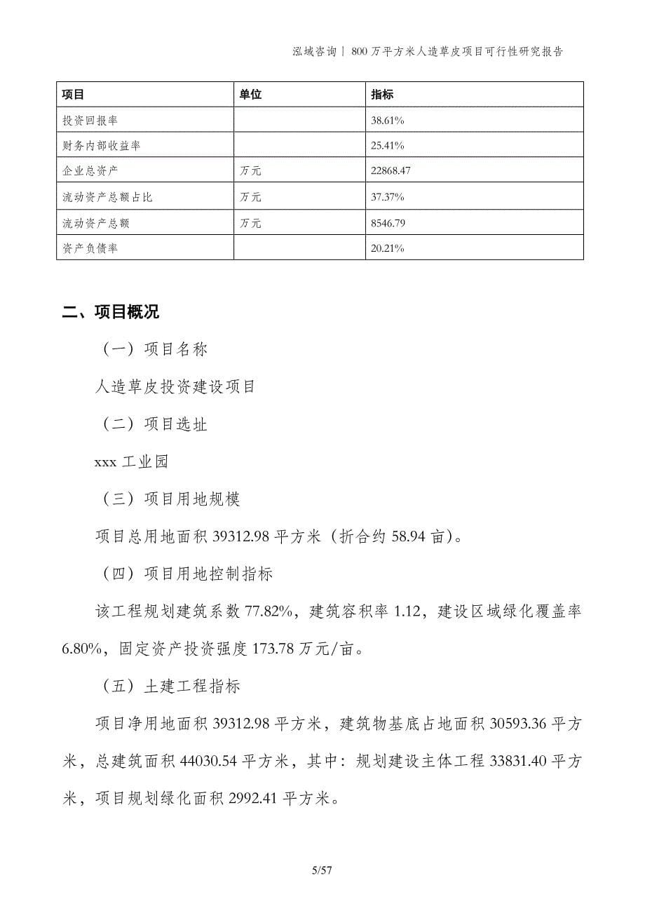 800万平方米人造草皮项目可行性研究报告_第5页