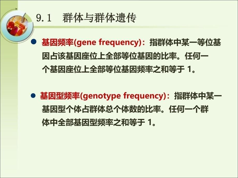 遗传学：群体遗传学_第5页