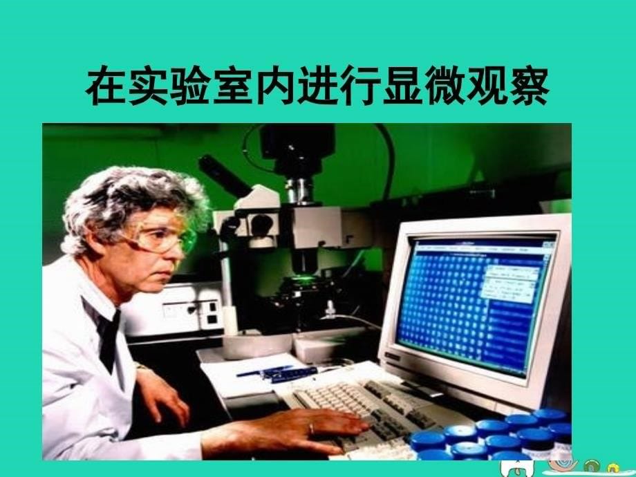 七年级生物上册1.2.1生物学是探索生命的科学课件1新版北师大版_第5页