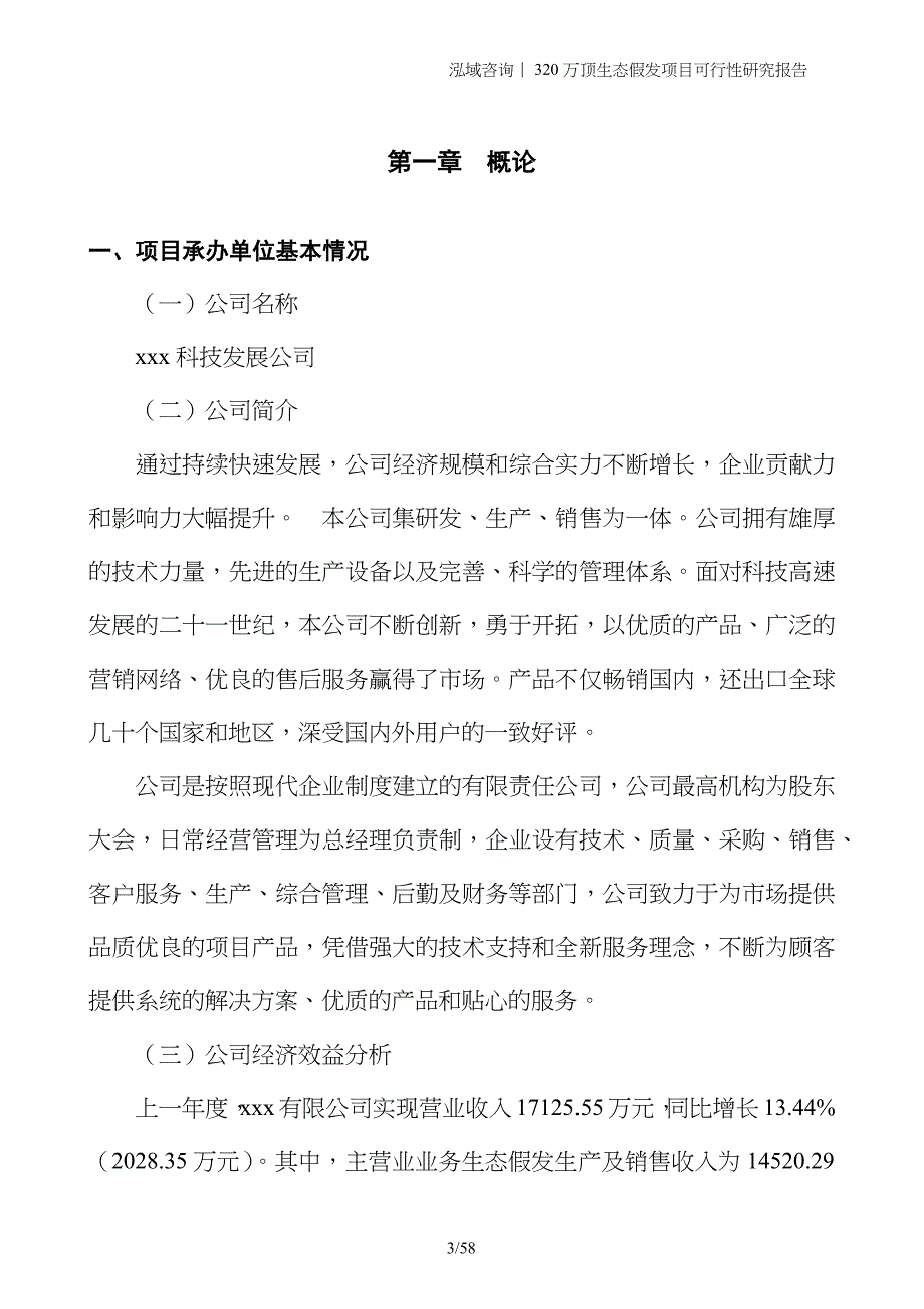 320万顶生态假发项目可行性研究报告_第3页