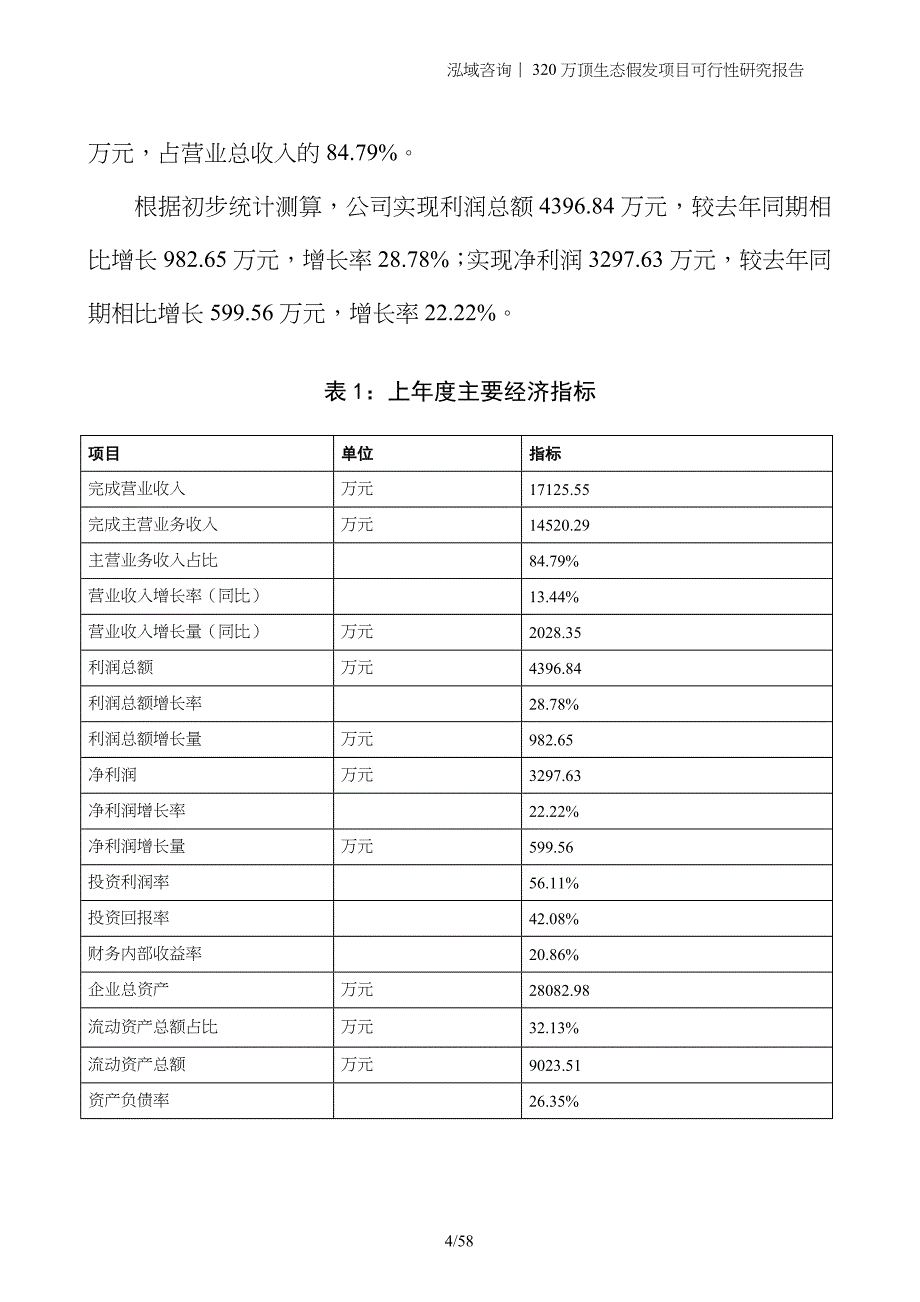 320万顶生态假发项目可行性研究报告_第4页