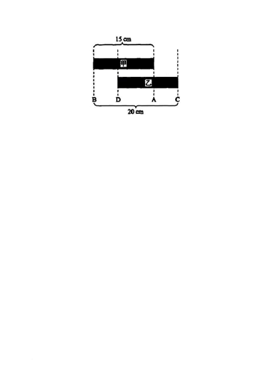 八年级生物上学期期中试题 新人教版17_第5页