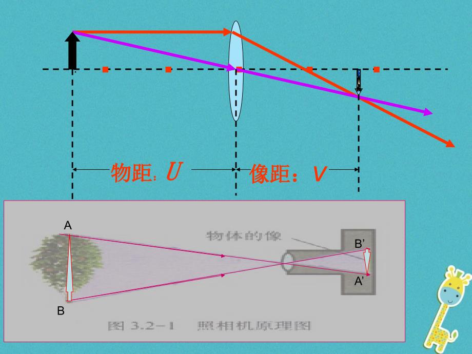 八年级物理上册 第五章 第四节 眼睛与眼镜课件 （新版）新人教版_第3页