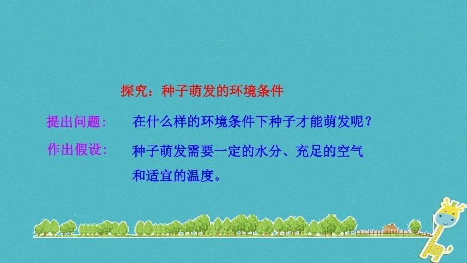 七年级生物上册 第三单元 第二章 第一节《种子的萌发》课件 （新版）新人教版_第5页