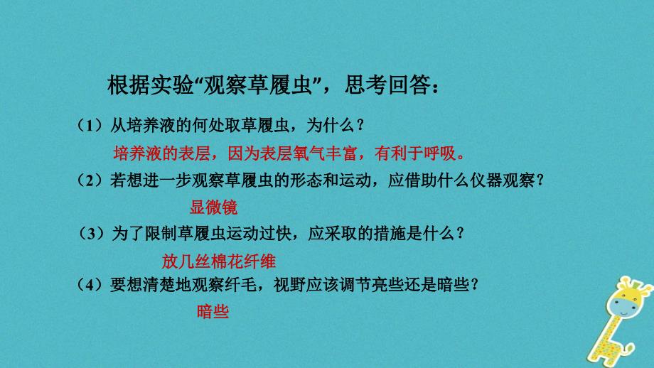 七年级生物上册第二单元第二章第四节单细胞生物课件新版新人教版_第4页