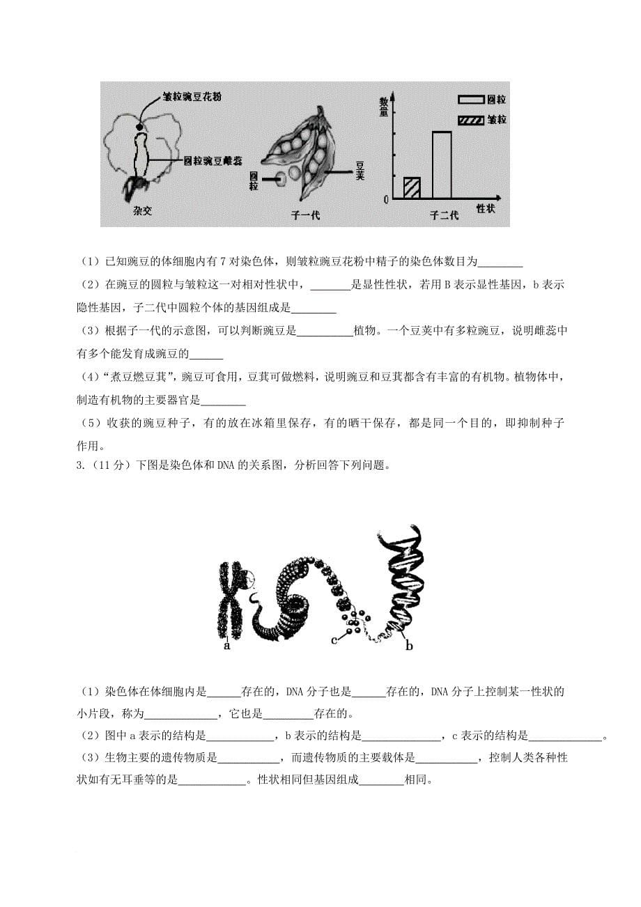 九年级生物12月单元检测试题（无答案） 新人教版_第5页