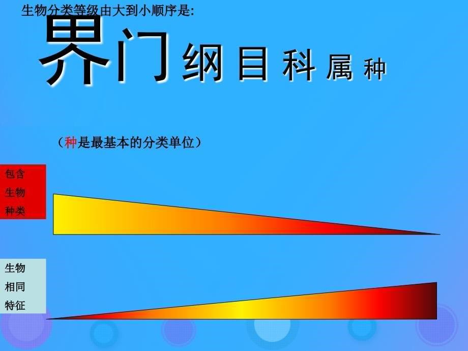 八年级生物上册 6.1.2《从种到界》课件4 （新版）新人教版_第5页