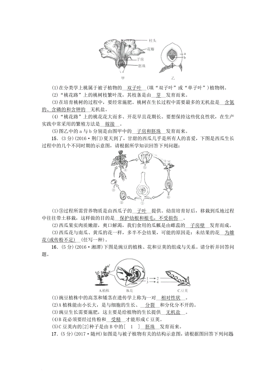 七年级生物上册 3_2被子植物的一生同步练习 （新版）新人教版_第4页