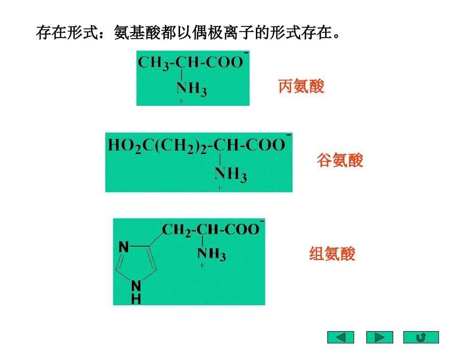 氨基酸、多肽、蛋白质、酶和核酸_第5页