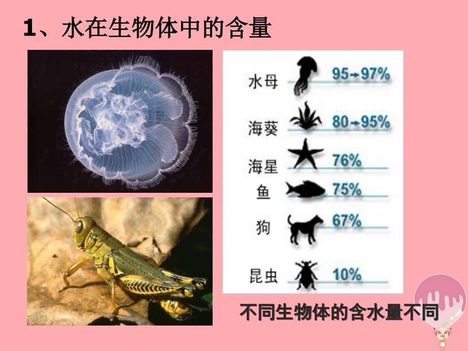 福建省寿宁县高中生物第二章细胞中的无机物课件新人教版必修1_第5页