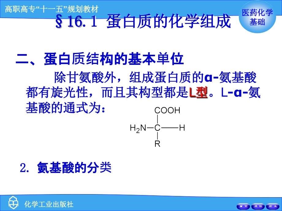 医用化学之蛋白质和核酸_第5页