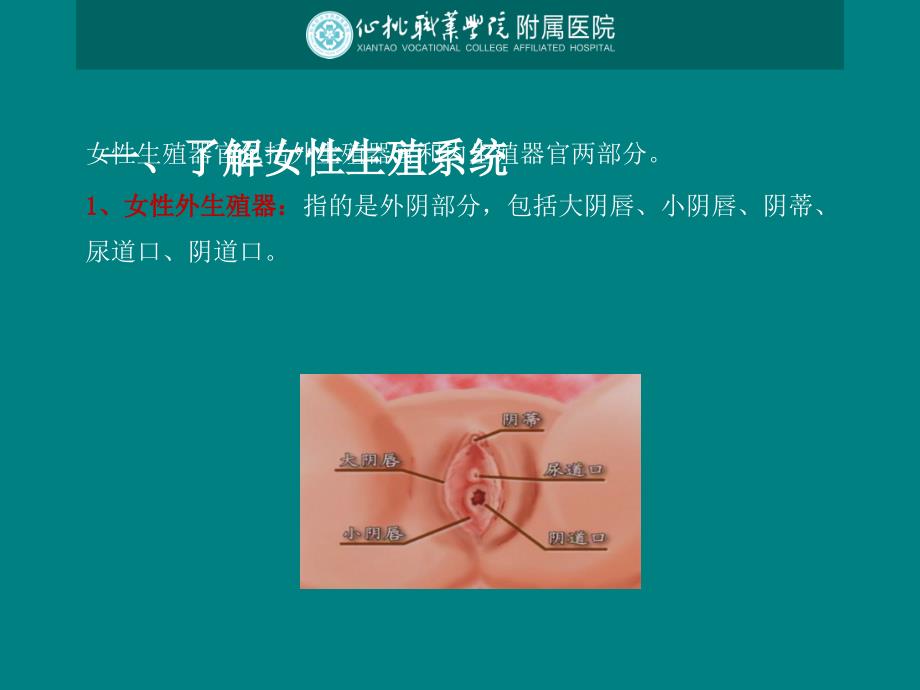 课件：女性健康保健知识_第3页