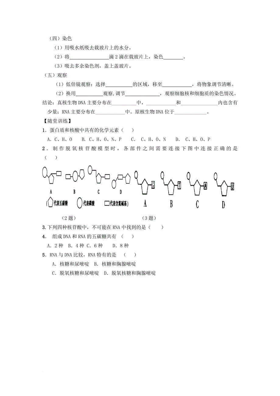 高中生物 第二章 组成细胞的分子 2_3 核酸（1）学案（无答案）新人教版必修1_第2页