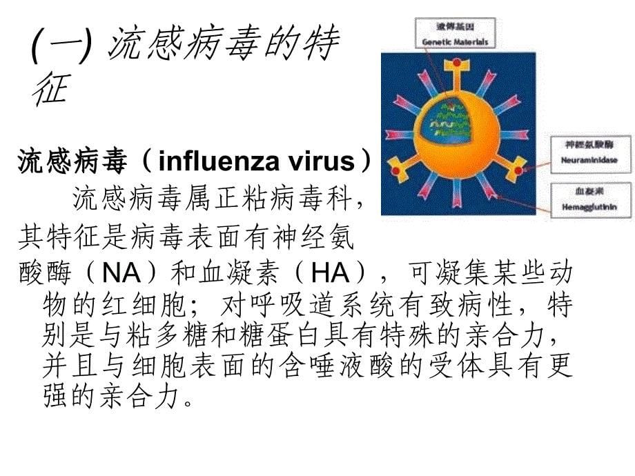 课件：h7n9流感诊疗_第5页