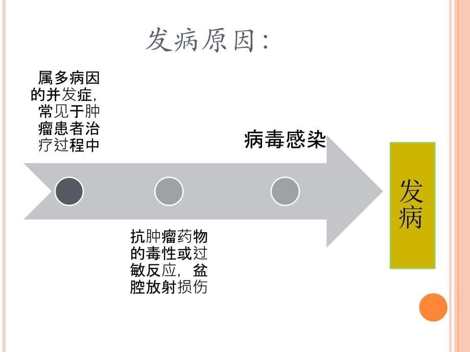 课件：化疗所致出血性膀胱炎的护理_第5页