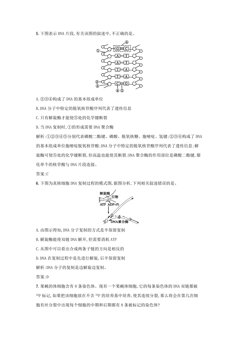 高中生物 课时训练12 dna分子的复制 新人教版必修2_第2页