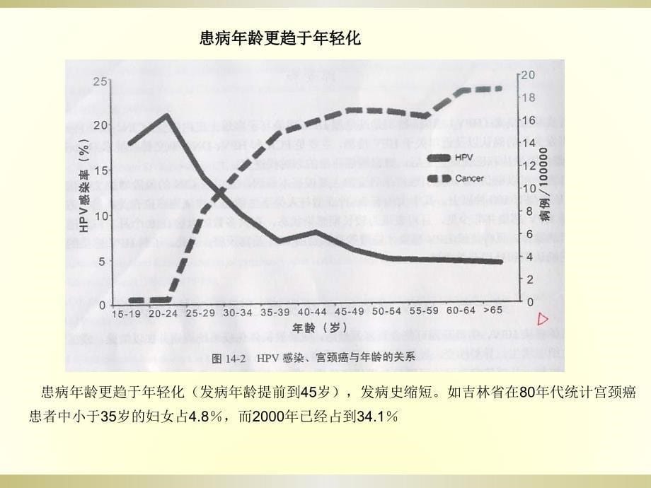 课件：hpv基因诊hpv基因诊断临床推广_第5页