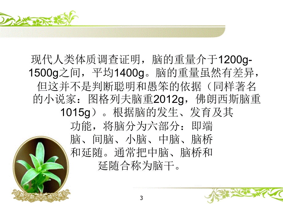 课件：脑干ppt2_第3页