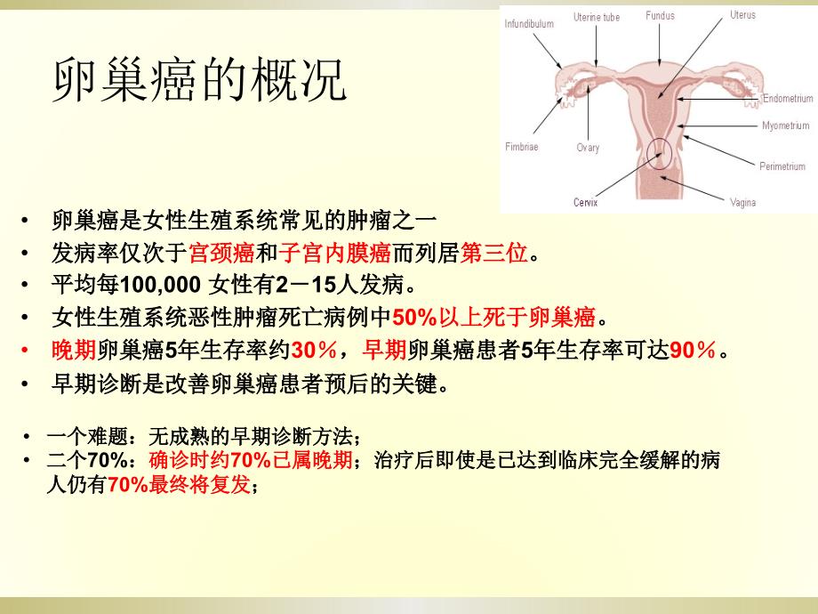 课件：he4课件_第3页