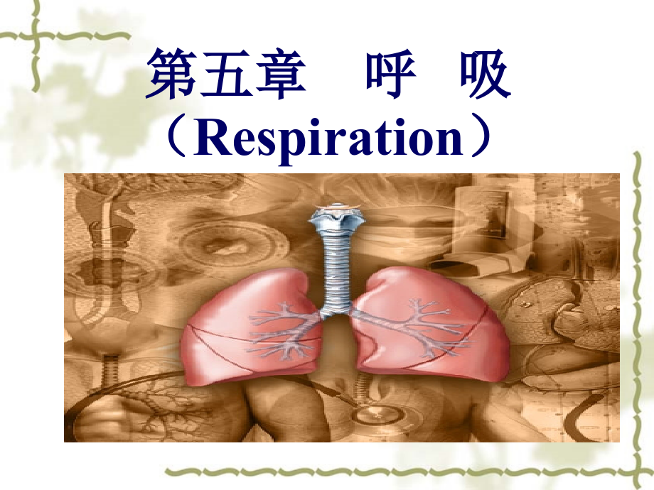 《生理学》第五章-呼吸_第1页