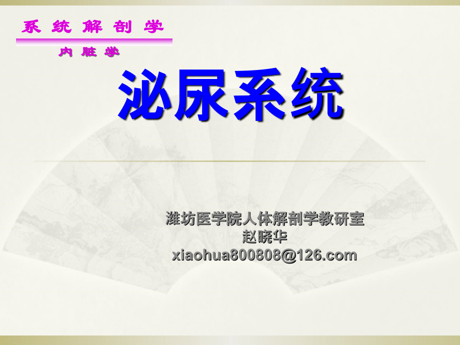 课件：泌尿、男性生殖系统_第2页