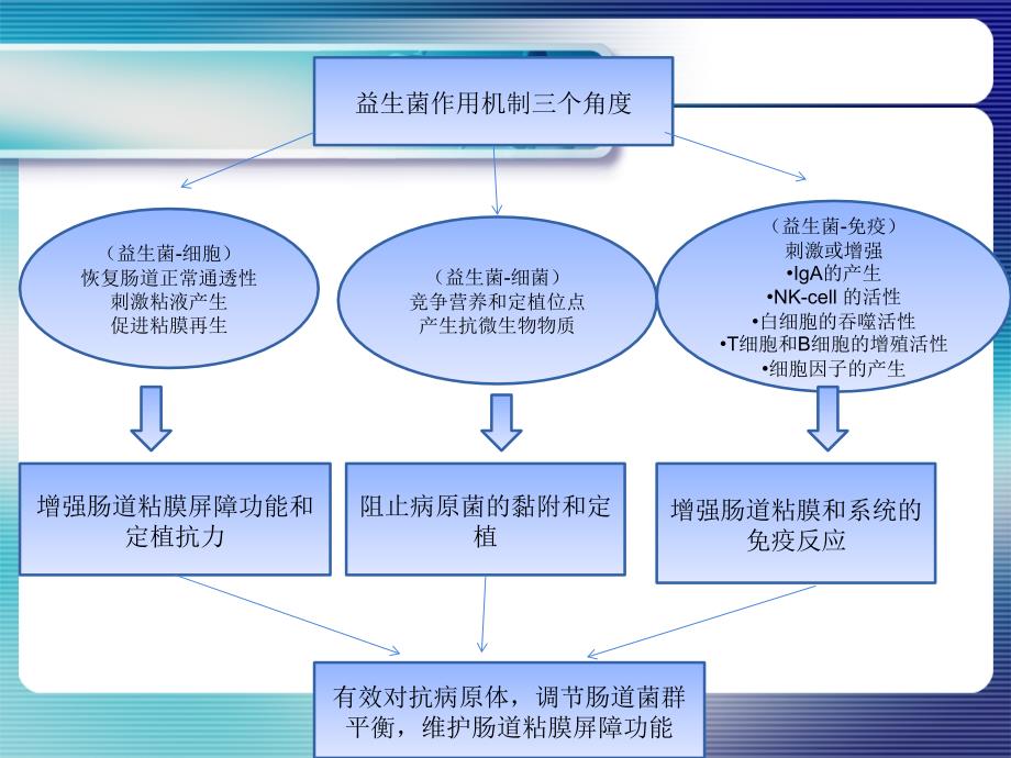 益生菌作用机制_第2页