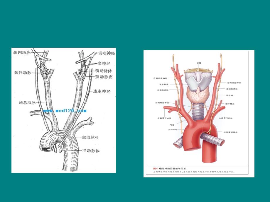 课件：主动脉置换术_第3页