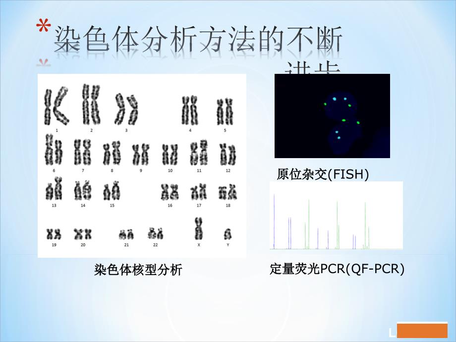 课件：cma在产前诊断中的应用_第3页