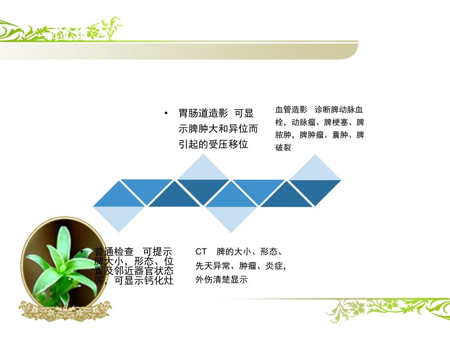 课件：脾脏疾病影像学检查及诊断_第2页