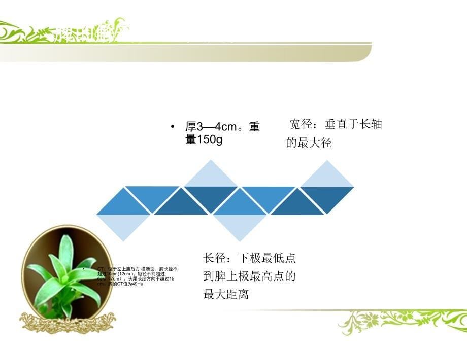 课件：脾脏疾病影像学检查及诊断_第5页