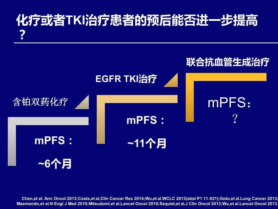 1.横贯中西——从e4599到beyond解读抗血管生成治疗对中国晚期nsclc患者的意义_第5页