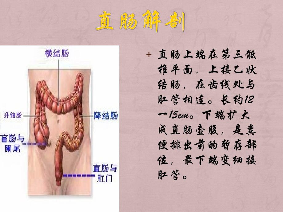 课件：腹腔镜直肠癌前切除_第4页