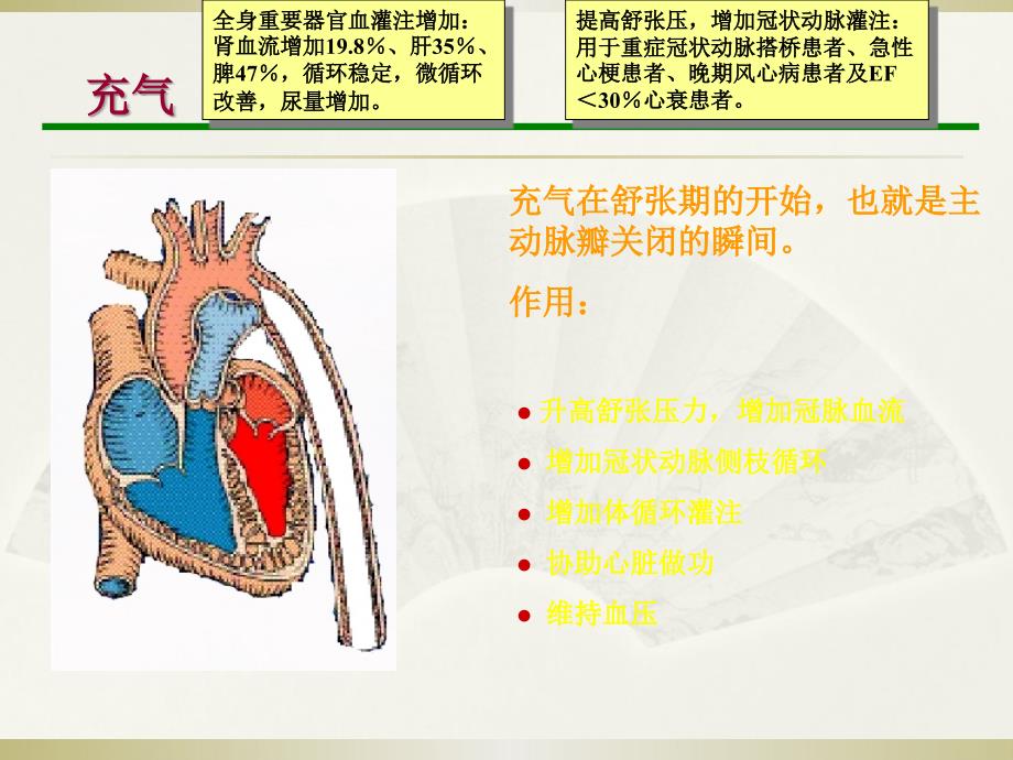 课件：iabp-autocat 2_第4页