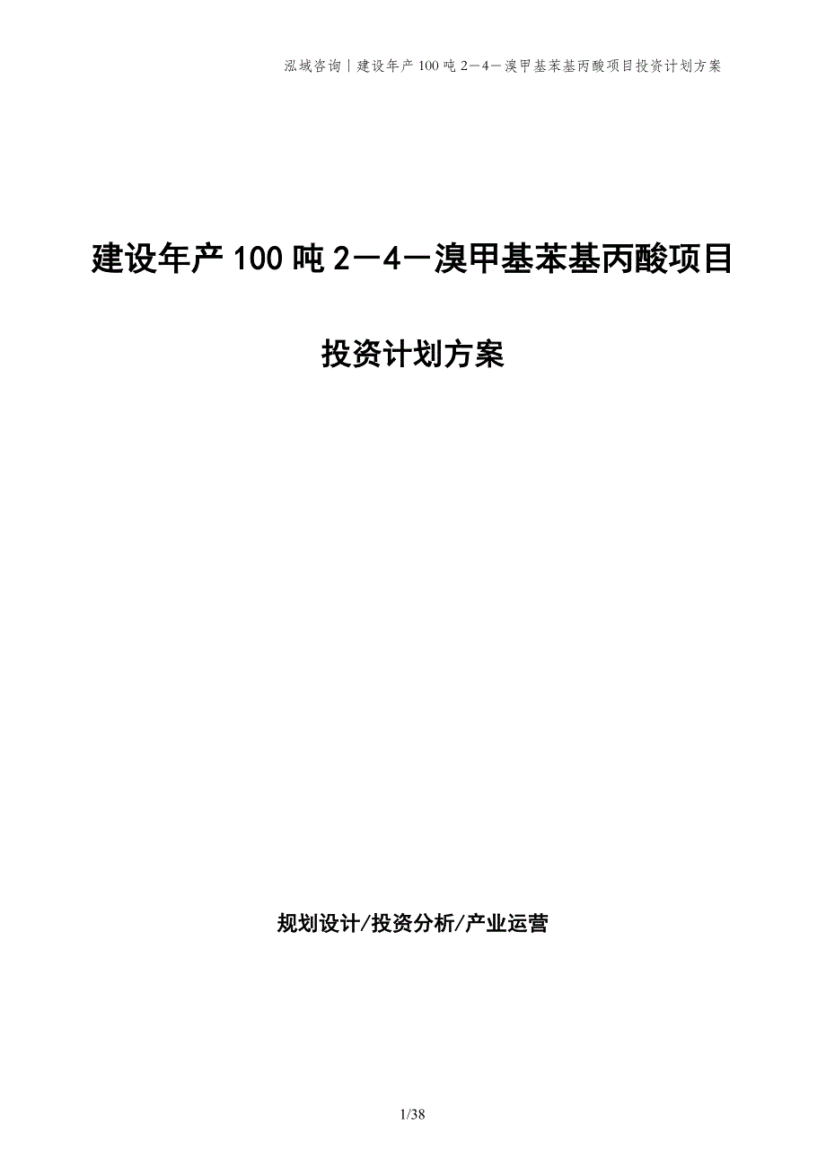 建设年产100吨2－4－溴甲基苯基丙酸项目投资计划方案_第1页