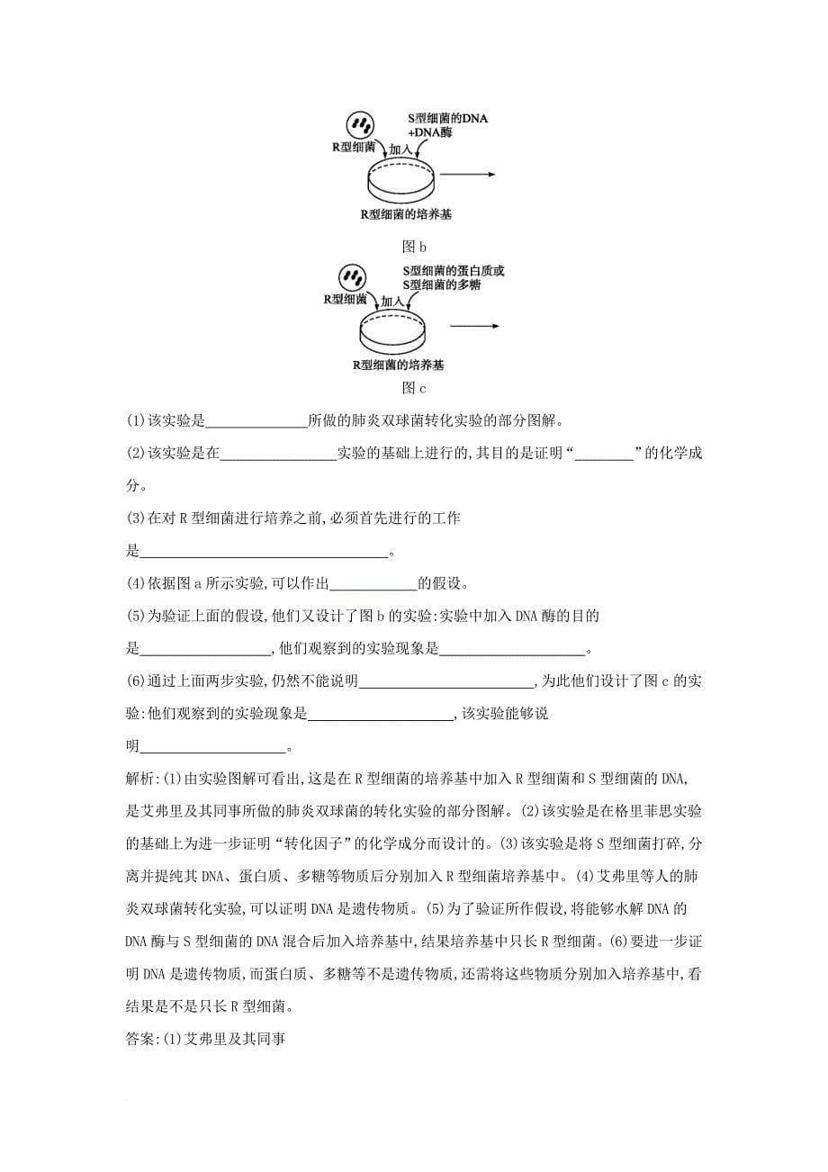 高中生物 课时训练10 探索遗传物质的过程 新人教版必修2_第5页