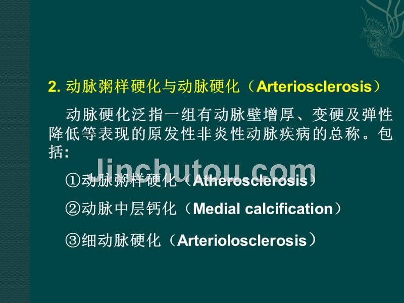 课件：心血管系统_第4页