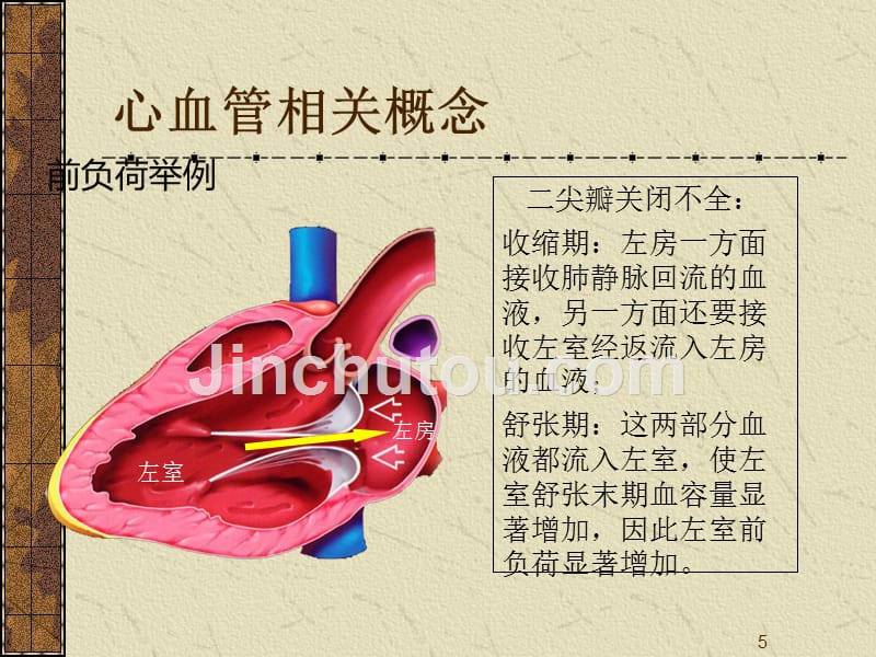 课件：高血压性心脏病的超声诊断要点_第5页