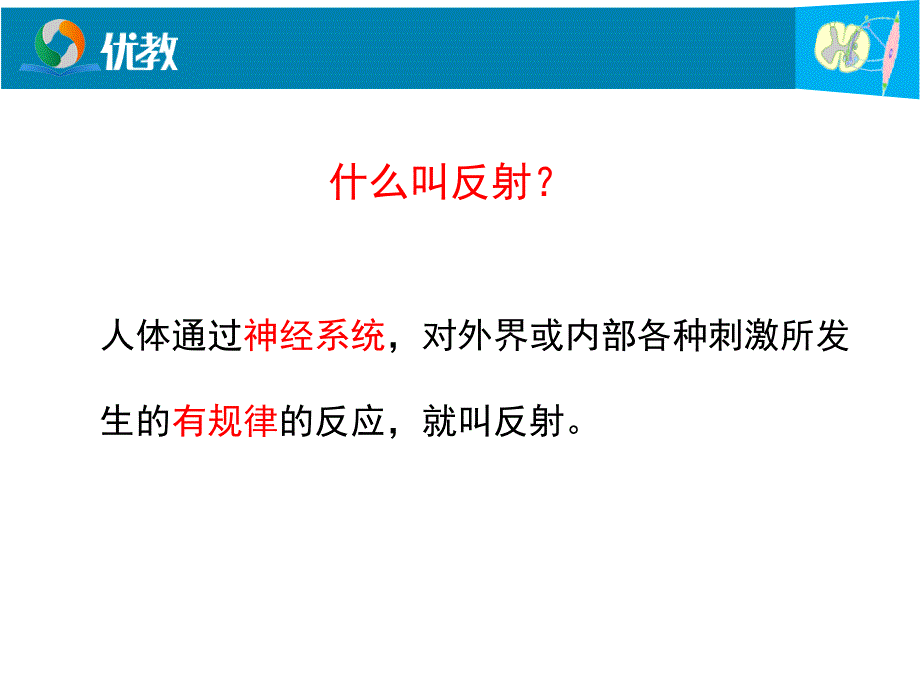 《神经调节基本方式》授课课件_第4页