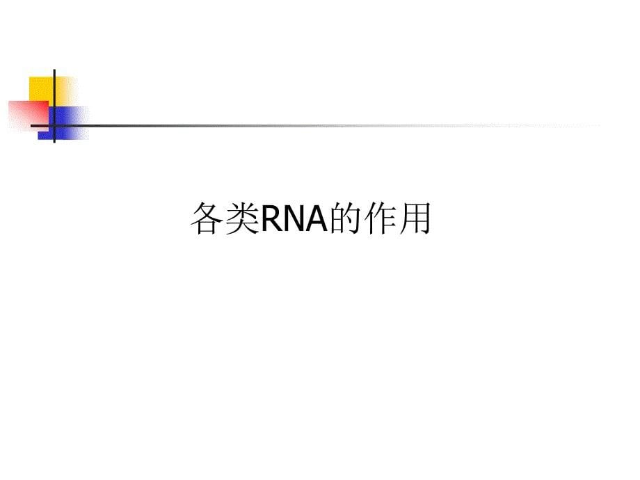 rna种类及其作用_第5页