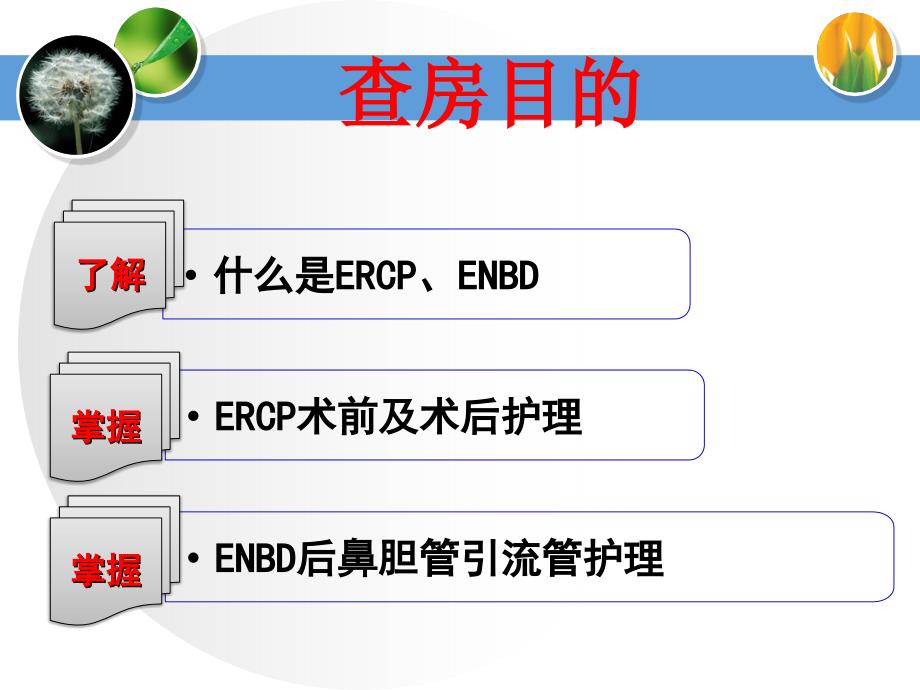 课件：ercp相关技术及护理_第2页