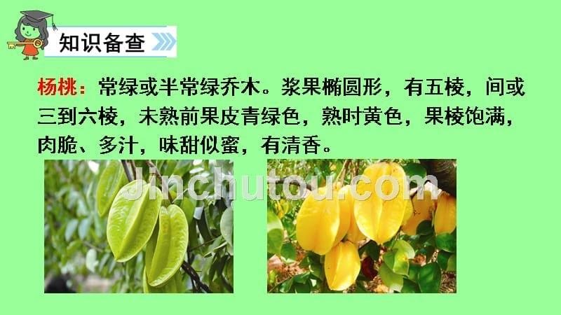 《画杨桃》优秀课堂教学课件_第5页