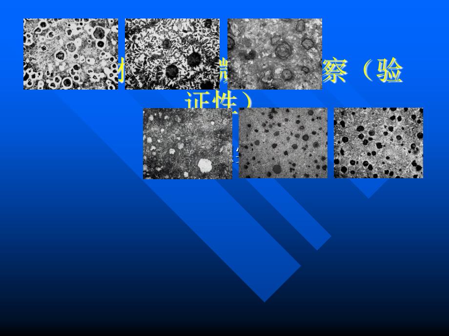 课件：金属材料的显微组织观察(验证性)-2015gai_第1页