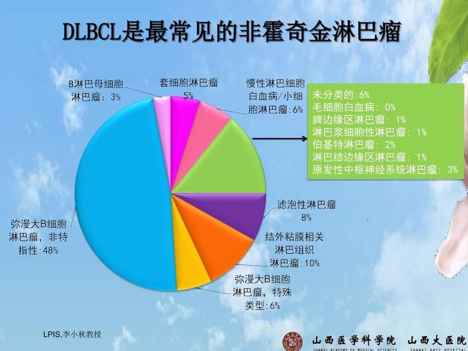 课件：弥漫大b细胞淋巴瘤规范化治疗_第5页